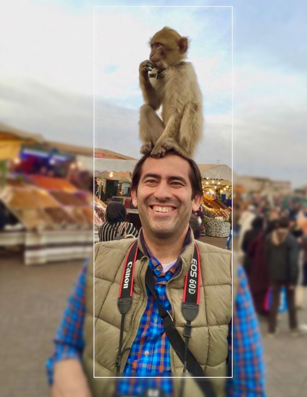 Başımızdaki Maymunlar