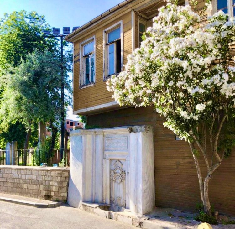 Ünsiyet Peydah Etmek