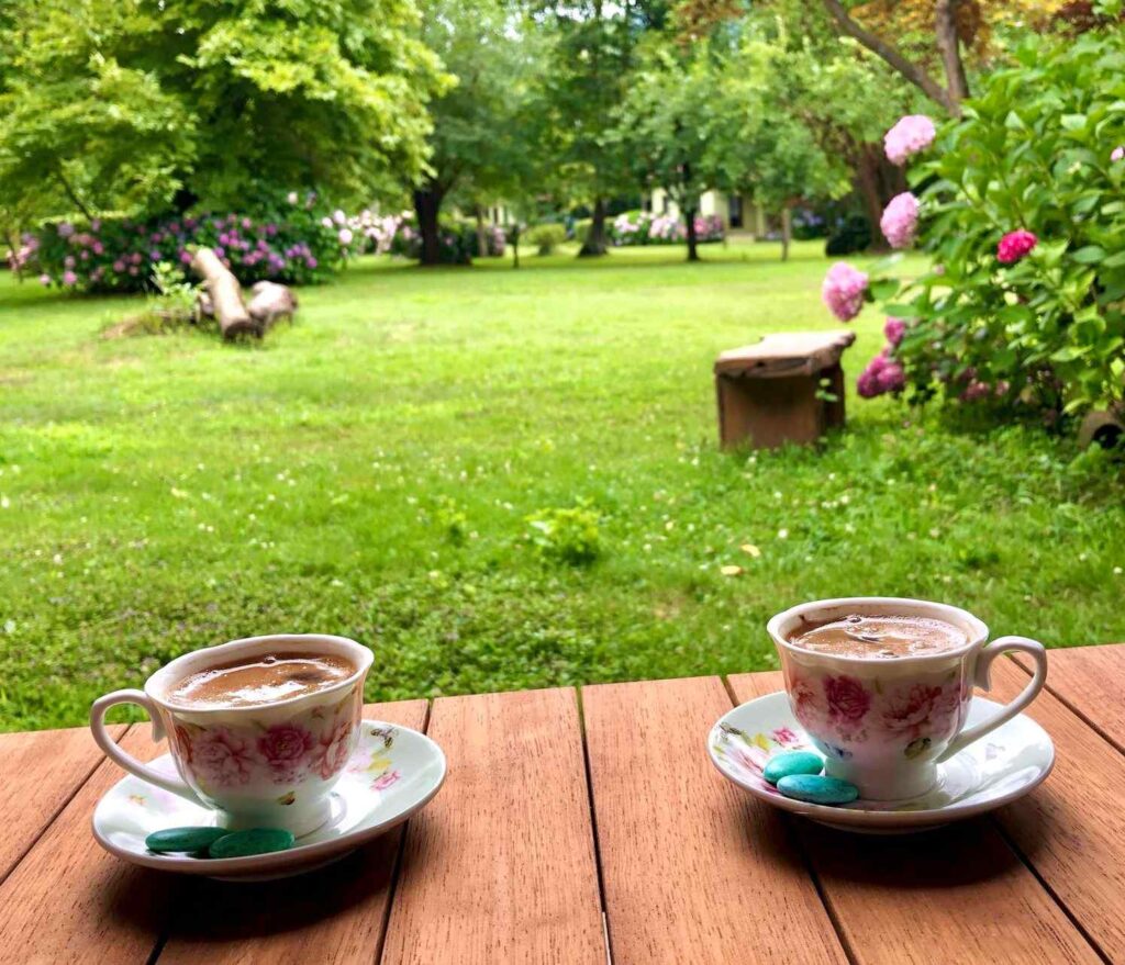 Fotoğraf : F. Gözleveli